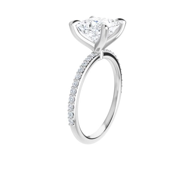 Princess cut 2025 moissanite engagement rings